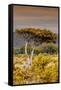 Awesome South Africa Collection - Savanna Landscape XXIII-Philippe Hugonnard-Framed Stretched Canvas