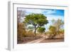 Awesome South Africa Collection - Savanna Landscape-Philippe Hugonnard-Framed Photographic Print