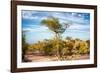 Awesome South Africa Collection - Savanna Landscape-Philippe Hugonnard-Framed Photographic Print