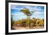 Awesome South Africa Collection - Savanna Landscape-Philippe Hugonnard-Framed Photographic Print