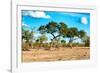 Awesome South Africa Collection - Savanna Landscape-Philippe Hugonnard-Framed Photographic Print