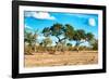 Awesome South Africa Collection - Savanna Landscape-Philippe Hugonnard-Framed Photographic Print