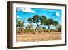 Awesome South Africa Collection - Savanna Landscape-Philippe Hugonnard-Framed Photographic Print