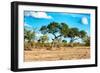 Awesome South Africa Collection - Savanna Landscape-Philippe Hugonnard-Framed Photographic Print