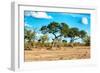 Awesome South Africa Collection - Savanna Landscape-Philippe Hugonnard-Framed Photographic Print