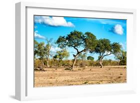 Awesome South Africa Collection - Savanna Landscape-Philippe Hugonnard-Framed Photographic Print