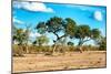 Awesome South Africa Collection - Savanna Landscape-Philippe Hugonnard-Mounted Photographic Print