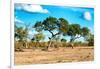 Awesome South Africa Collection - Savanna Landscape-Philippe Hugonnard-Framed Photographic Print