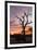 Awesome South Africa Collection - Savanna Tree at Sunrise-Philippe Hugonnard-Framed Photographic Print