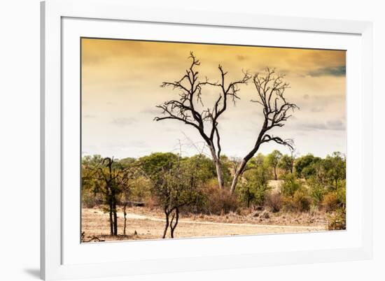 Awesome South Africa Collection - Savanna Tree at Sunset-Philippe Hugonnard-Framed Photographic Print