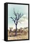 Awesome South Africa Collection - Savanna Tree III-Philippe Hugonnard-Framed Stretched Canvas