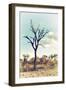 Awesome South Africa Collection - Savanna Tree III-Philippe Hugonnard-Framed Photographic Print