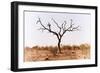 Awesome South Africa Collection - Savanna Tree IX-Philippe Hugonnard-Framed Photographic Print