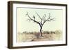 Awesome South Africa Collection - Savanna Tree X-Philippe Hugonnard-Framed Photographic Print