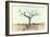 Awesome South Africa Collection - Savanna Tree X-Philippe Hugonnard-Framed Photographic Print