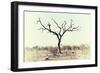Awesome South Africa Collection - Savanna Tree X-Philippe Hugonnard-Framed Photographic Print