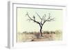 Awesome South Africa Collection - Savanna Tree X-Philippe Hugonnard-Framed Photographic Print