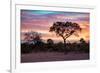 Awesome South Africa Collection - Savanna Trees at Sunrise I-Philippe Hugonnard-Framed Photographic Print