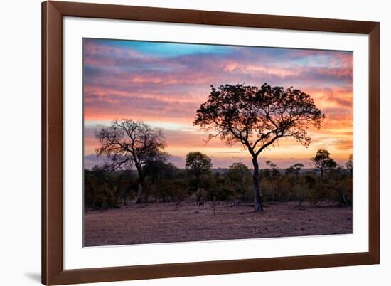 Awesome South Africa Collection - Savanna Trees at Sunrise I-Philippe Hugonnard-Framed Photographic Print