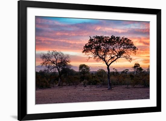 Awesome South Africa Collection - Savanna Trees at Sunrise I-Philippe Hugonnard-Framed Photographic Print