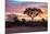 Awesome South Africa Collection - Savanna Trees at Sunrise I-Philippe Hugonnard-Mounted Photographic Print