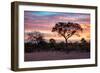 Awesome South Africa Collection - Savanna Trees at Sunrise I-Philippe Hugonnard-Framed Photographic Print