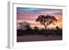 Awesome South Africa Collection - Savanna Trees at Sunrise I-Philippe Hugonnard-Framed Photographic Print