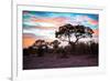 Awesome South Africa Collection - Savanna Trees at Sunrise II-Philippe Hugonnard-Framed Photographic Print