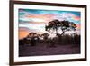 Awesome South Africa Collection - Savanna Trees at Sunrise II-Philippe Hugonnard-Framed Photographic Print