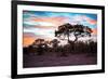 Awesome South Africa Collection - Savanna Trees at Sunrise II-Philippe Hugonnard-Framed Photographic Print