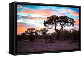 Awesome South Africa Collection - Savanna Trees at Sunrise II-Philippe Hugonnard-Framed Stretched Canvas