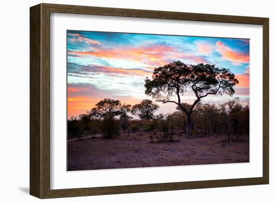 Awesome South Africa Collection - Savanna Trees at Sunrise II-Philippe Hugonnard-Framed Photographic Print