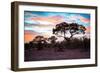 Awesome South Africa Collection - Savanna Trees at Sunrise II-Philippe Hugonnard-Framed Photographic Print