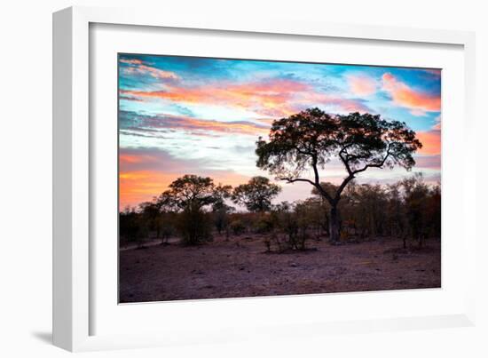 Awesome South Africa Collection - Savanna Trees at Sunrise II-Philippe Hugonnard-Framed Photographic Print