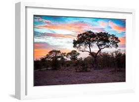 Awesome South Africa Collection - Savanna Trees at Sunrise II-Philippe Hugonnard-Framed Photographic Print