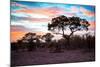 Awesome South Africa Collection - Savanna Trees at Sunrise II-Philippe Hugonnard-Mounted Photographic Print