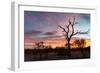 Awesome South Africa Collection - Savanna Trees at Sunrise-Philippe Hugonnard-Framed Photographic Print