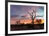 Awesome South Africa Collection - Savanna Trees at Sunrise-Philippe Hugonnard-Framed Photographic Print