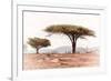 Awesome South Africa Collection - Savanna Trees XVIII-Philippe Hugonnard-Framed Photographic Print