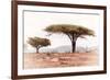 Awesome South Africa Collection - Savanna Trees XVIII-Philippe Hugonnard-Framed Photographic Print