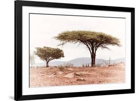 Awesome South Africa Collection - Savanna Trees XVIII-Philippe Hugonnard-Framed Photographic Print