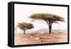 Awesome South Africa Collection - Savanna Trees XVIII-Philippe Hugonnard-Framed Stretched Canvas