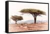 Awesome South Africa Collection - Savanna Trees XVIII-Philippe Hugonnard-Framed Stretched Canvas