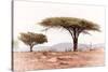 Awesome South Africa Collection - Savanna Trees XVIII-Philippe Hugonnard-Stretched Canvas
