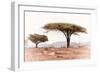 Awesome South Africa Collection - Savanna Trees XVIII-Philippe Hugonnard-Framed Photographic Print