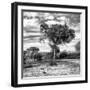 Awesome South Africa Collection Square - Acacia Trees in the Bush B&W-Philippe Hugonnard-Framed Photographic Print