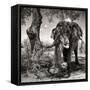 Awesome South Africa Collection Square - African Elephant Portrait B&W-Philippe Hugonnard-Framed Stretched Canvas