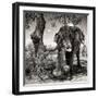 Awesome South Africa Collection Square - African Elephant Portrait B&W-Philippe Hugonnard-Framed Photographic Print