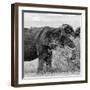 Awesome South Africa Collection Square - African Elephant Profile B&W-Philippe Hugonnard-Framed Photographic Print