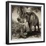 Awesome South Africa Collection Square - African Elephant Sepia-Philippe Hugonnard-Framed Photographic Print